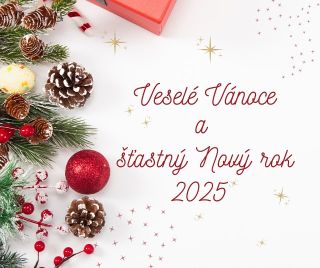 Milí přátelé, nechť jsou vaše Vánoce plné radosti, smíchu a kouzelných chvil s těmi, které máte nejraději. Do nového roku...