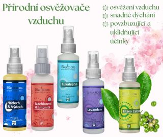 Hledáte způsob, jak provonět svůj domov bez chemie? Vyzkoušejte tyto přírodní osvěžovače vzduchu, které krásně provoní a...